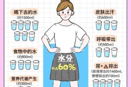 五行木命者喝什么水最有益?喝水的秘密解答!