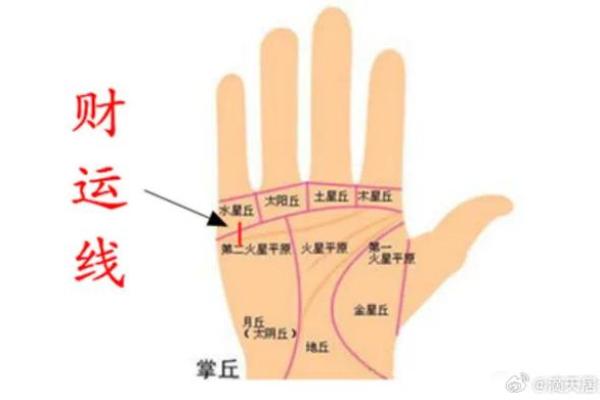 天宫童子命格解析：探索命理背后的秘密与人生启示