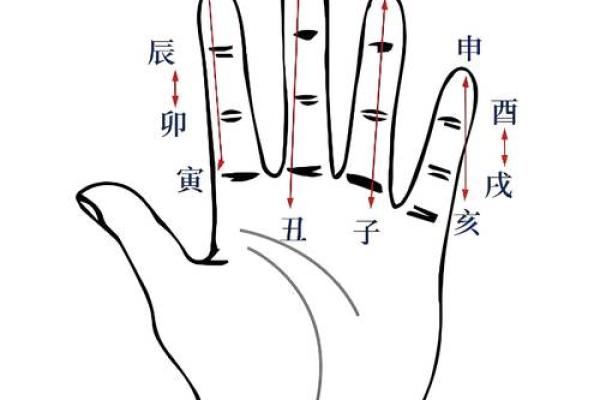 五两九钱女命：解密命理与人生的微妙关系