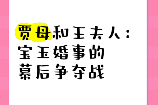 王夫人护宝玉的释义：母爱的深邃与无奈