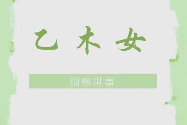 阳女木三局：神秘命理与生活智慧的结合之道