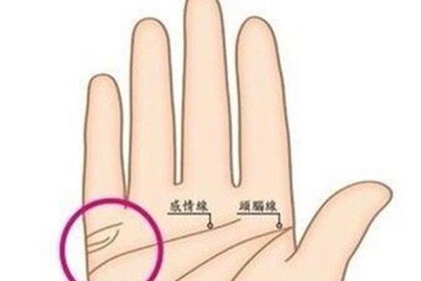 探密男人的婚姻线：四条婚缘揭示情感与命运之路