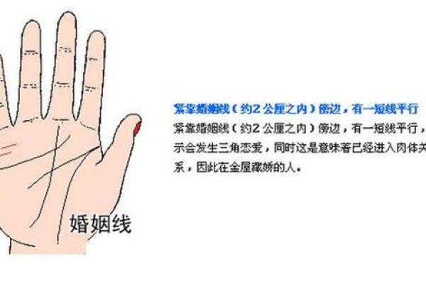 探密男人的婚姻线：四条婚缘揭示情感与命运之路