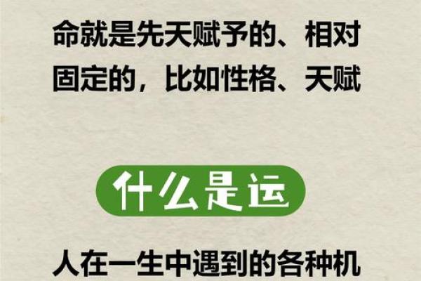 走进五行的奥秘：揭秘你的命运与性格