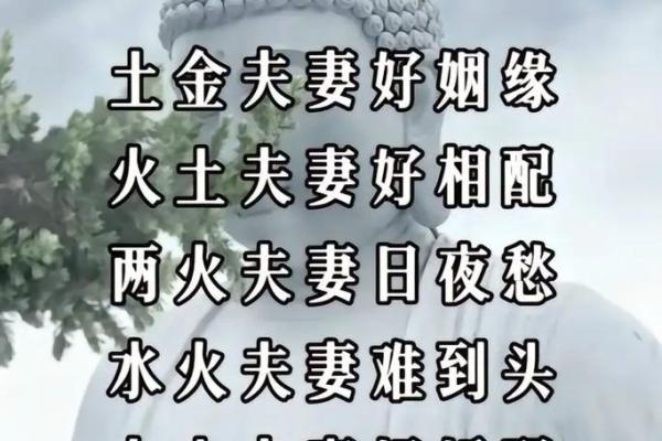 探寻水中金命：生肖与命理的奇妙结合