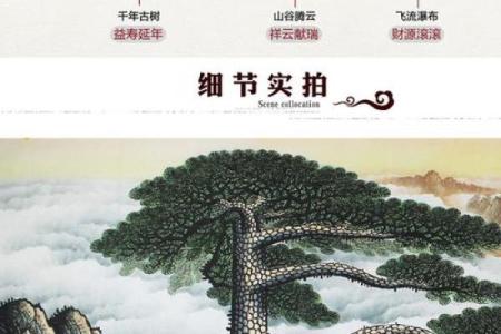 探寻女木命与男金挂画之道:装饰与风水的完美结合