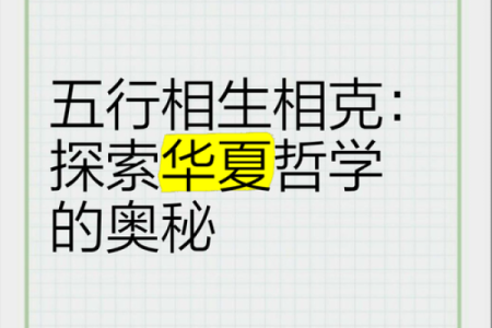 探索五行之魅,揭示人生命理的奥秘