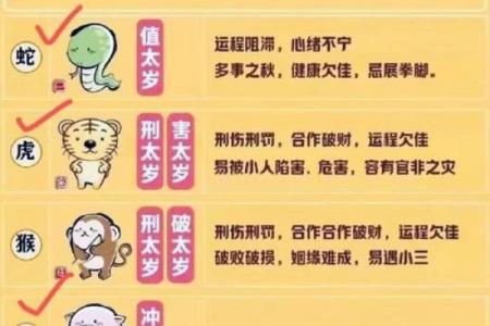 一九八五年命理解析:揭示命运背后的秘密与启示
