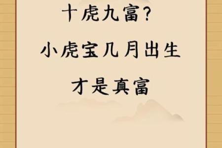 探寻农历二月生男虎的命理之谜,揭示命运与性格的秘密