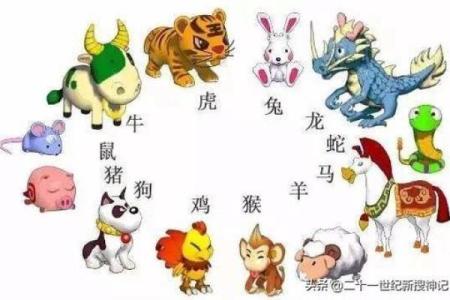 探索“第一棺十七命”之谜:揭秘生肖背后的传说与寓意