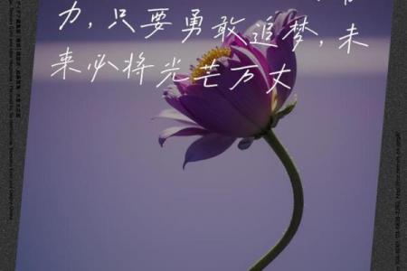 未竟发达之命的深刻启示:人生的奋斗与追寻