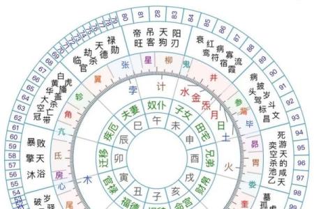 为什么木命的人不适合佩戴玉石?揭示神秘背后的真相