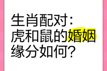 土命鼠与哪种命格最适合婚姻?揭开幸福婚姻的秘密!