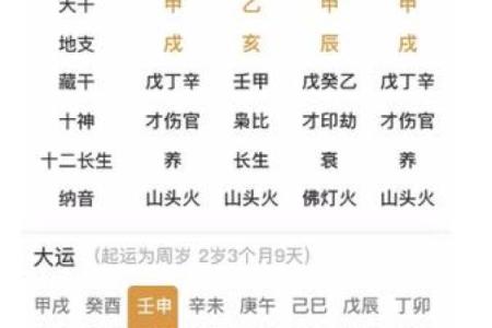 辛未路旁土命:解读命理背后的深意与智慧
