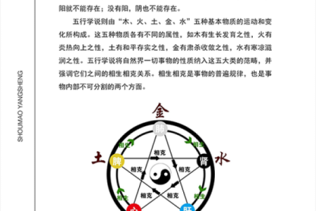 探索椭圆形与五行属性:命理的奥秘与人生的启示