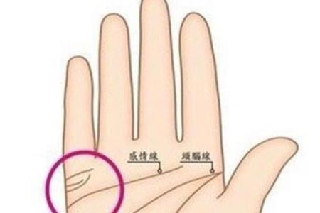 探密男人的婚姻线:四条婚缘揭示情感与命运之路