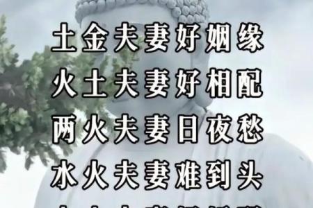 探寻水中金命:生肖与命理的奇妙结合