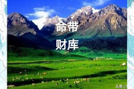 探秘生财之命:如何通过命理找到财富之路