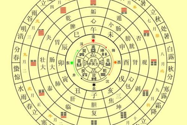戊辰年出生的命格解析：探索其独特命理特征与人生轨迹