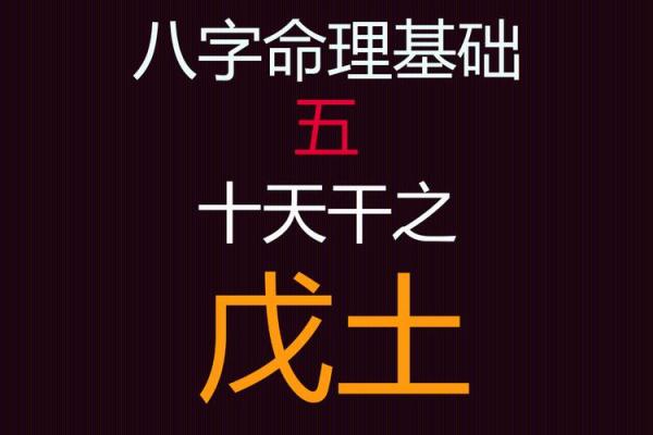 戊土命格：解密命理中的土元素与人生之路