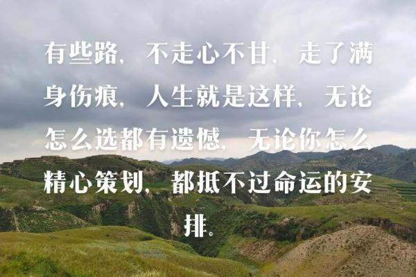 探秘：十三岁属虎的命运与人生轨迹