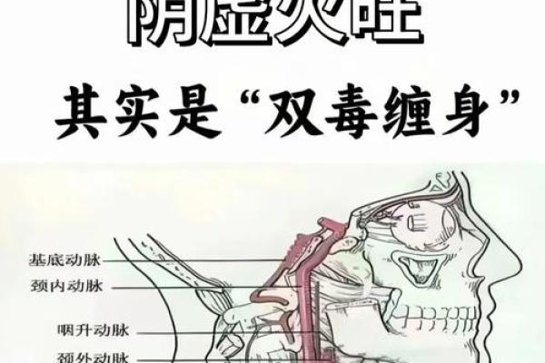 阳火与阴火的命理解析：火命的深层含义与启示