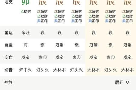 巳时出生的男孩命理解析：揭示属于你的天赋与未来