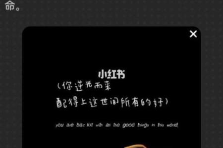 探秘亡命化命仙:不为人知的命法师之路