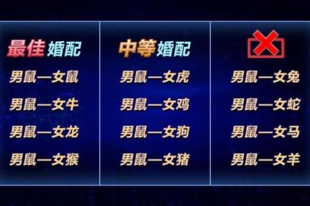 为什么说猪年的鼠命格外好?探寻其中的奥秘与幸福!