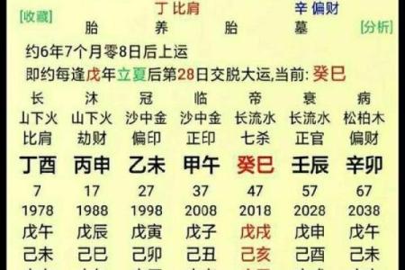 五行带金的人命格解析:一生的财富与智慧之路