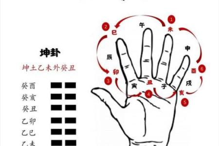 武杀在酉宫坐命:卦象之谜与解读之道