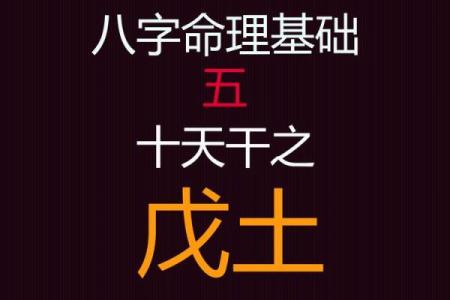 戊土命格:解密命理中的土元素与人生之路