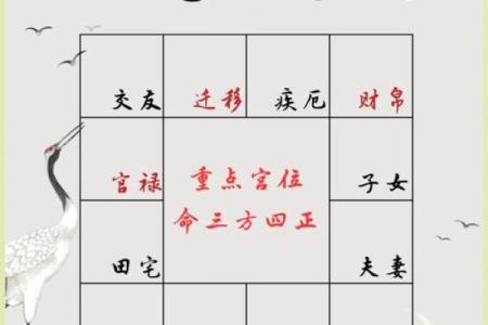 探索玄学九宫格:命格的深奥与启示