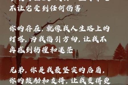 兄弟情深:他们为何在球场上拼命以命相搏?