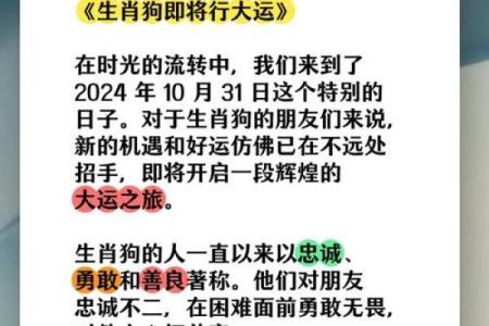 探索属狗农历七月初九的命运之谜,解读您的命理与性格