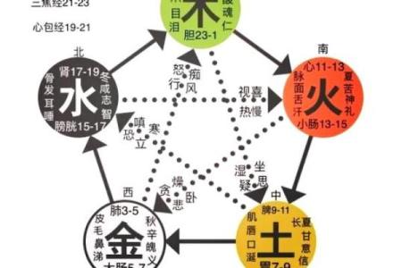 鑫是什么命?揭秘五行属相的奥秘与影响