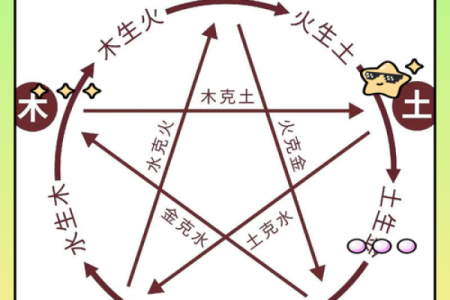 阳火与阴火的命理解析:火命的深层含义与启示