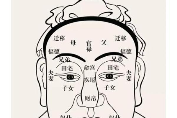 五行木盛之女命：寻找合适男人的秘密