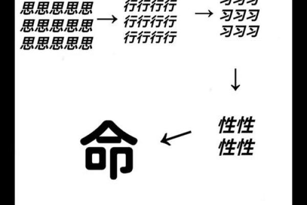 探讨命与命之间的价值观：为何不可以命换命