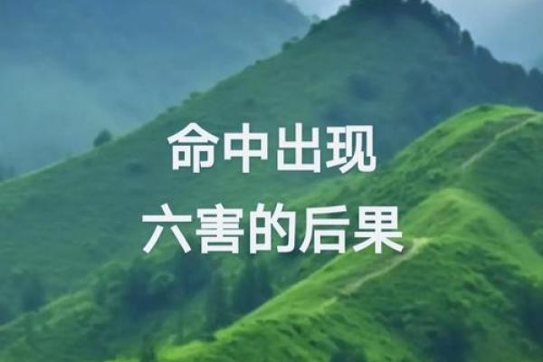 水火命局：细解这一罕见命格的奥秘与人生风采