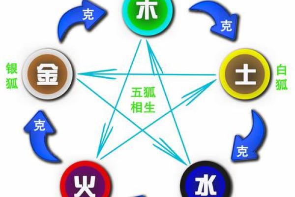 探索肺与五行：揭示金命的神秘秘密