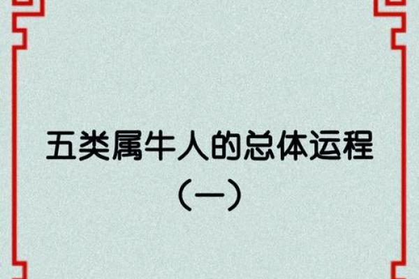 阴女土五局：生肖牛的命运与人生解析