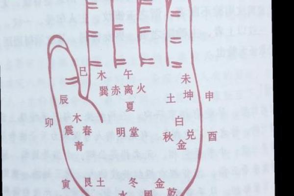 探寻手相的奥秘：从掌纹看命运与性格之谜