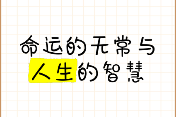 四两五钱：揭示命运的奇妙平衡与人生的智慧