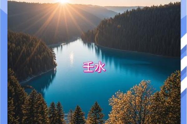 探索乙未年五行属土命的奥秘与智慧