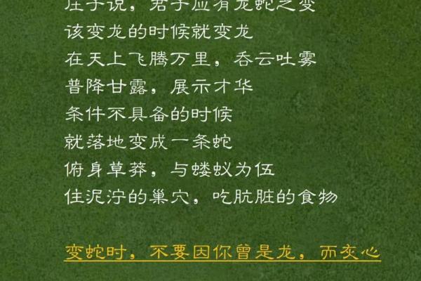 土蛇大林木命的命名智慧与命运之美