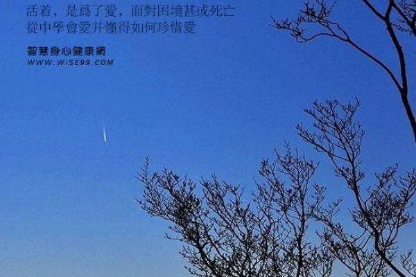 探究人活着的意义：富贵人的命与人生的深层次价值