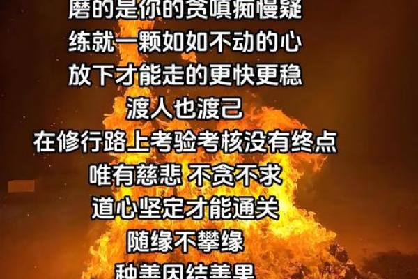 学佛之路：知命懂命的深刻启示与人生智慧