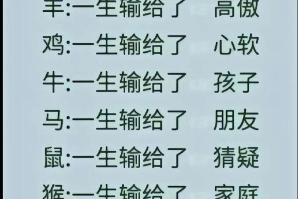 探索十二生肖：感受命运与性格的奇妙联系