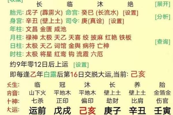 乙未月出生的土命揭示：命理与人生的深刻联系